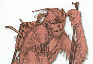 Wookiees Value Their Traditions